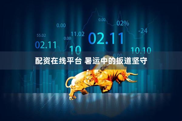 配资在线平台 暑运中的扳道坚守