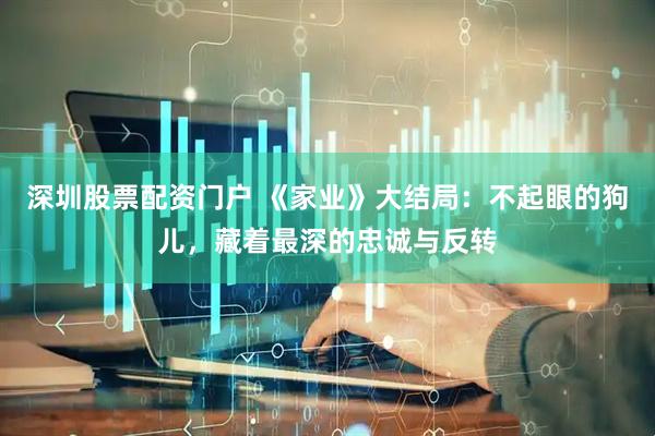 深圳股票配资门户 《家业》大结局：不起眼的狗儿，藏着最深的忠诚与反转